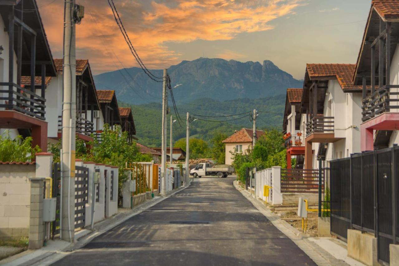 Villa Casa Gabrielle Călimăneşti Esterno foto